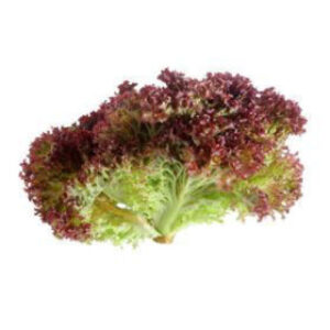 Lollo Rosso (Approx 250g)